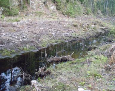 I følge standarden kan livsløpstrærne settes igjen i nabobestand dersom disse er en del av et driftsområde som skal hogges i løpet av ett år.