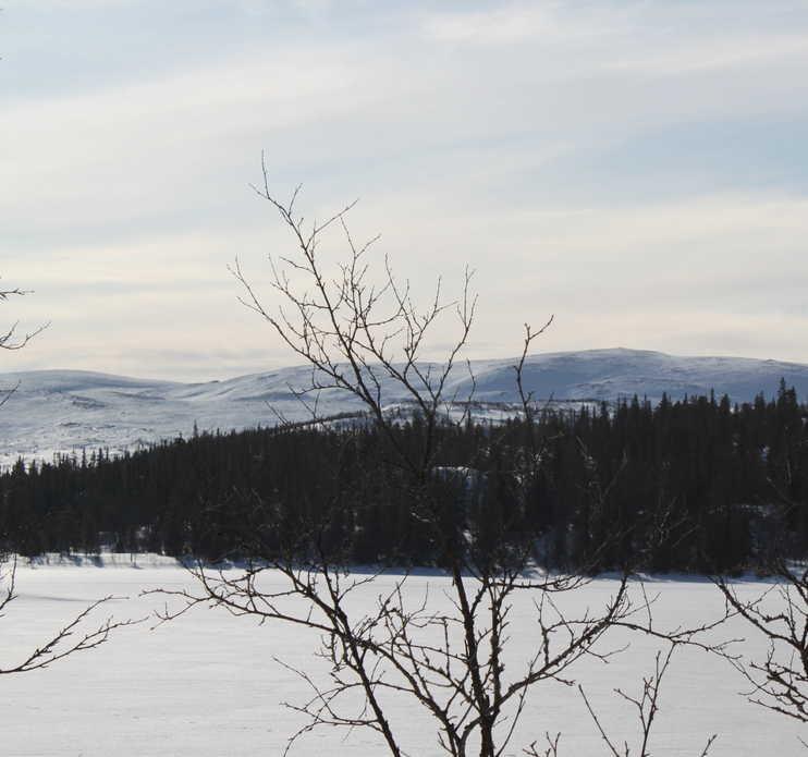 FAKTA OM EIENDOMMEN Nydelig utsiktstomt beliggende 950 moh. i området opp mot Hallandsætri i Seterdalen, som grenser inn mot Hardangervidda i nordvest. Dette er den øverste tomta i feltet.