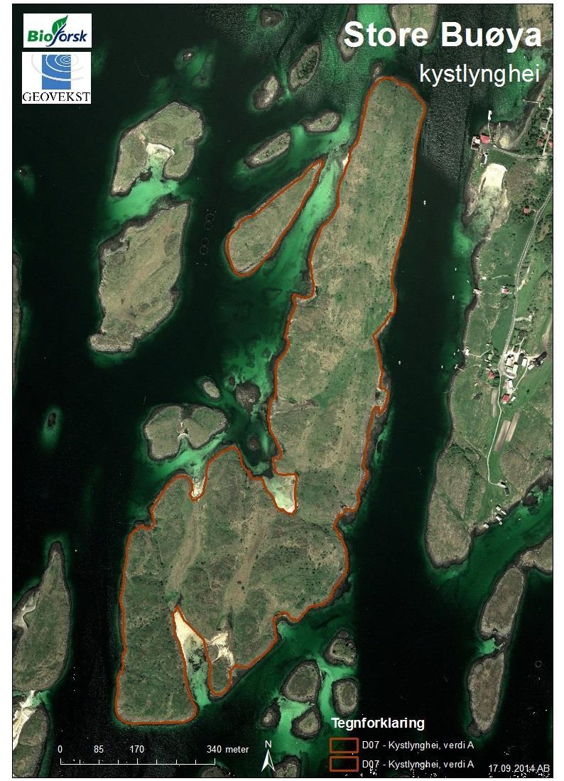 VEDLEGG 1 Kart med arealavgrensning Figur 1: Arealavgrensning av kystlyngheilokaliteten på Store