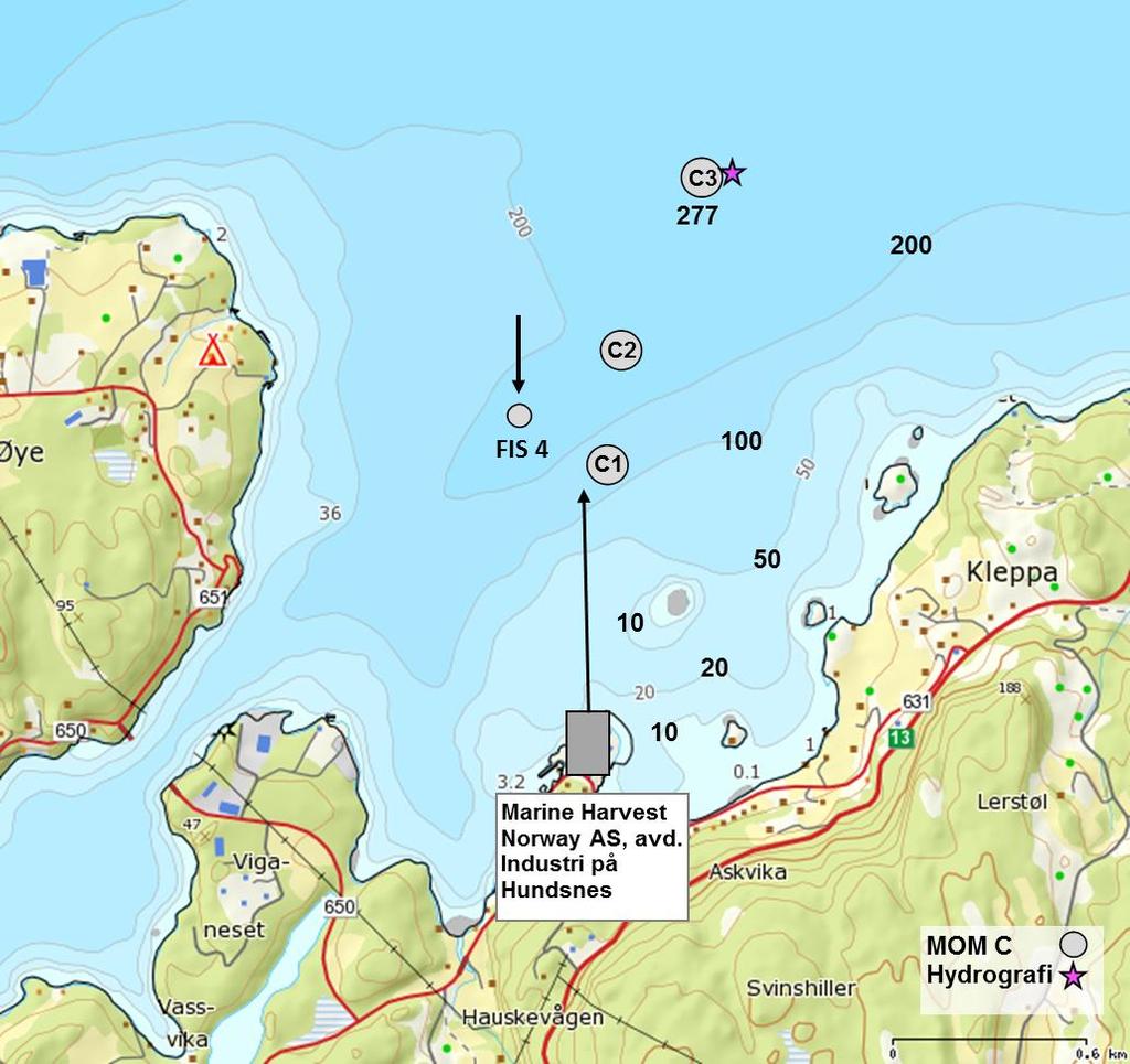 Botnen skrånar jamt i retning mot nord i Hjelmelandsfjorden utanfor industrislakteriet Hundsnes, og flatar ut om lag 1 km ifrå slakteriet på ca. 220 m djup (figur 2). Utsleppspunket ligg ca.