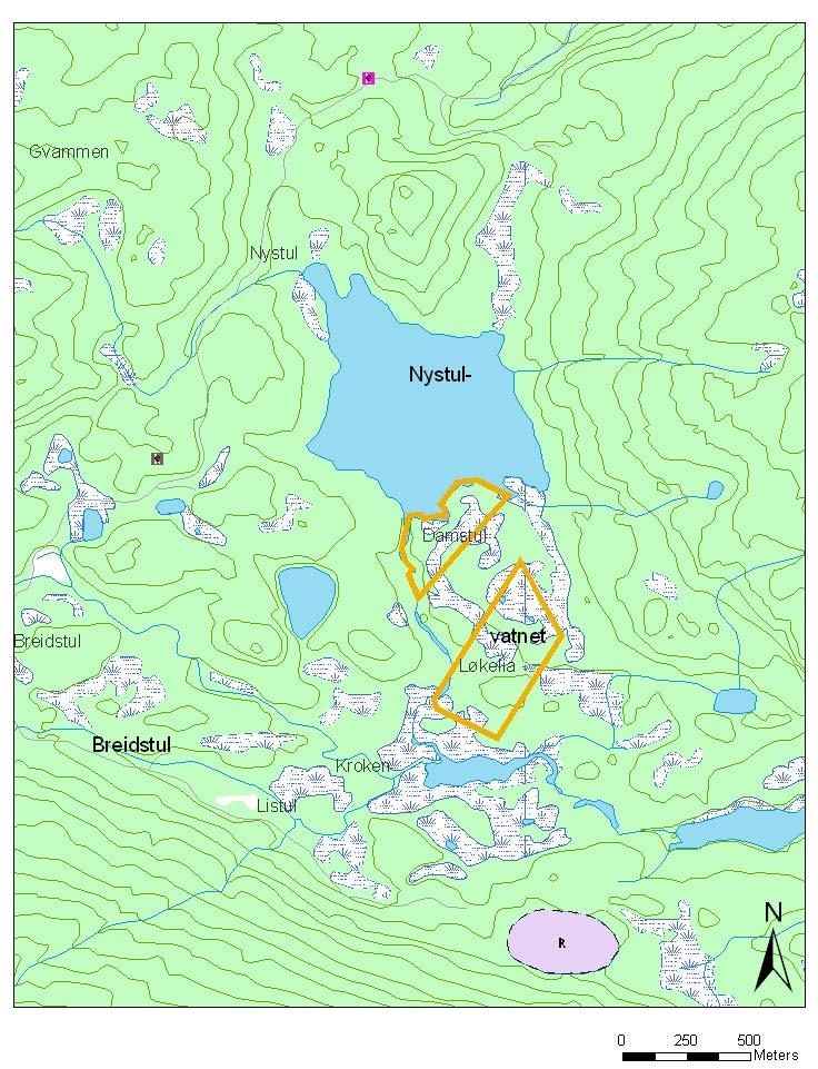 Figur 2: Detaljkart over planområdet og tilstøtende områder. Planområdene er avgrenset med gult.