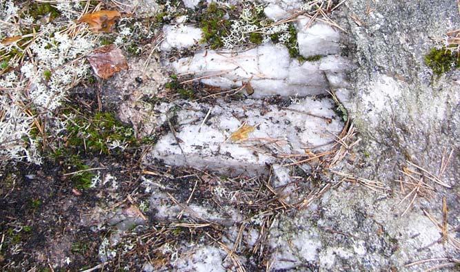 Terrengets beskaffenhet, skrinn jord/berg i vest og mer myrlendt i øst, medførte at området ikke ble vurdert til å ha spor etter steinalderaktivitet (i