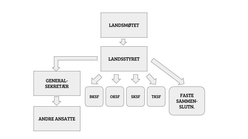 Den skal sørge for at vi får gjort mest mulig, at vi slipper å gjøre ting flere ganger, og koordinere arbeidet som gjøres i ulike deler av Forbundet.