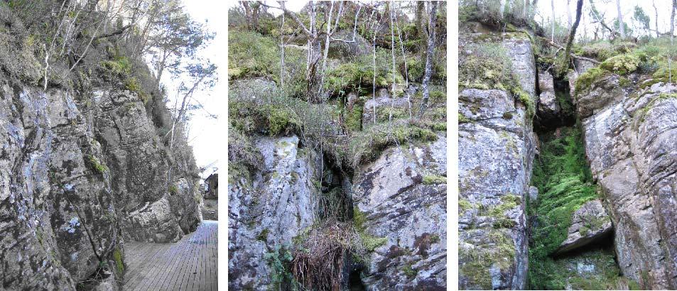 3 Område Øvre Kråkenes 66 Bergveggen stiger steilt, men hellingen avtar noe mot toppen. Det er mye forskjellig vegetasjon i skrenten. Flere trær har veltet.