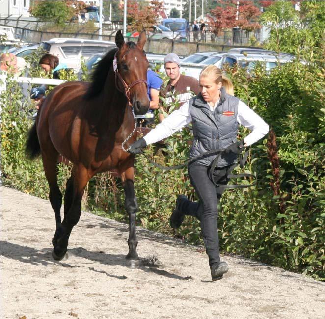 Flere av lagets hester fikk ei treningsøkt, mens de som ikke hadde hest koste seg med grilling og sosialt samvær.