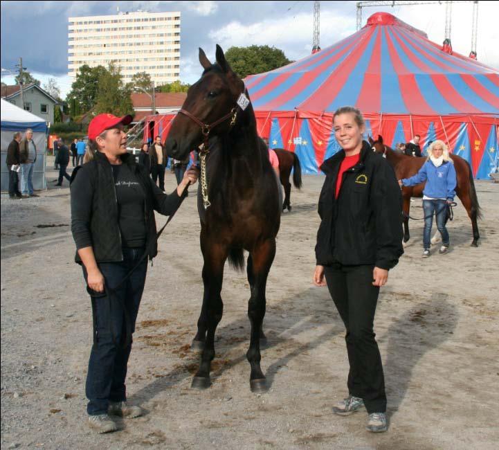 ved Terje Hotvedt solgte to hester. Hoppa Vangus G.T. ble ropt inn av Thor Borg for 70.000 kroner, mens Cato Antonsen kjøpte Welldone G.T. for 50.000 kroner. Under årets auksjon ble tre hester solgt for 400.