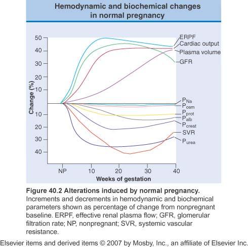 Normalfysiologi Renal vasodilatasjon Væskeretensjon Økende plasmavolum Økt cardic output (40-50%) og renal plasmaflow (70-80%) GFR øker 40-50%