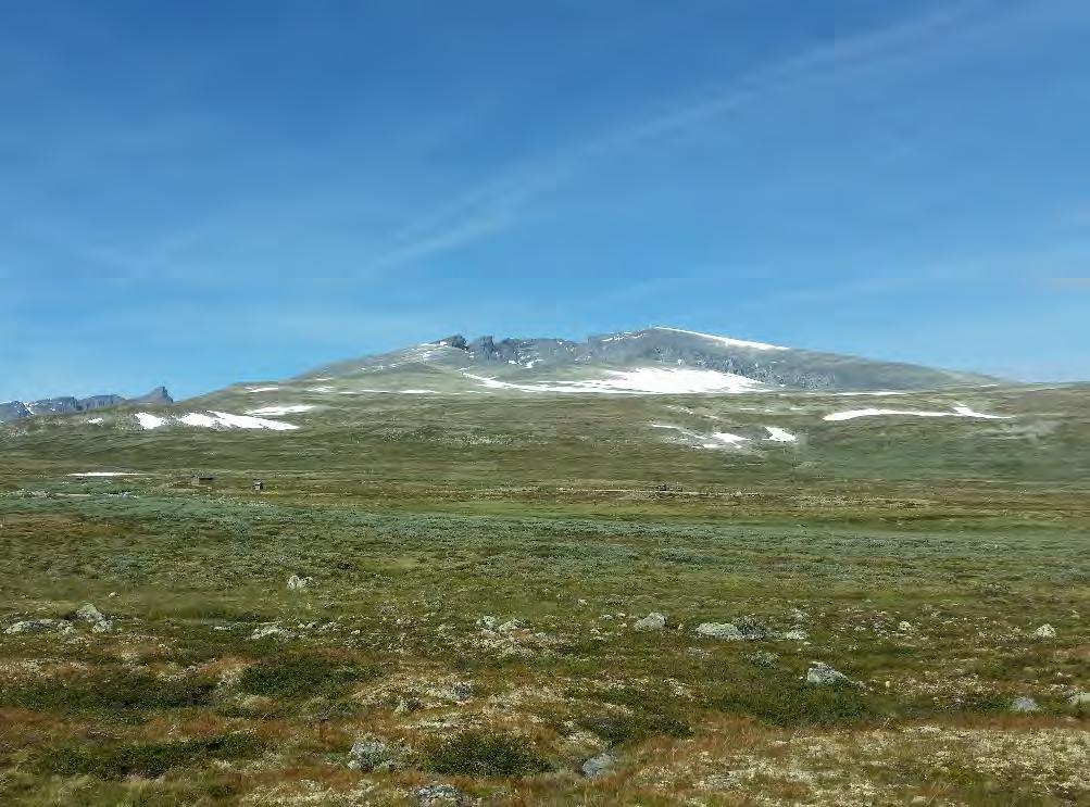 Tilbakeføring Hjerkinn skytefelt