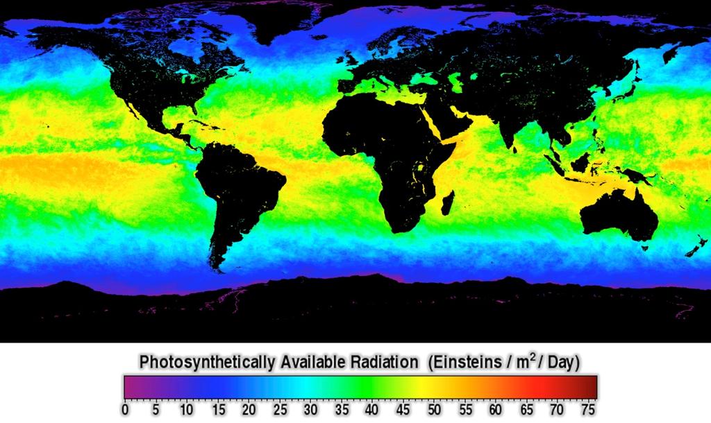 Photosynthetically available radiation (PAR; Einsteins m 2 day 1 ) from the SeaWiFS satellite.