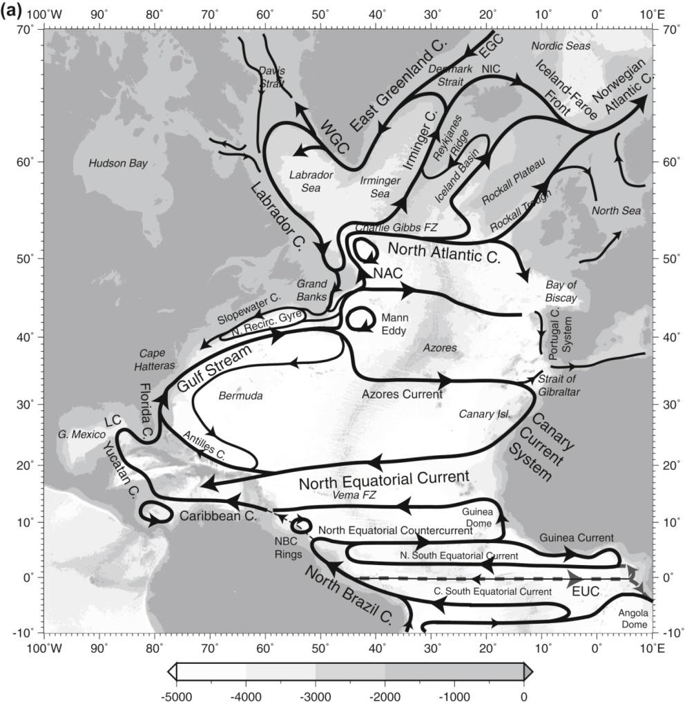 FIGURE 9.1 Atlantic Ocean surface circulation schematics.