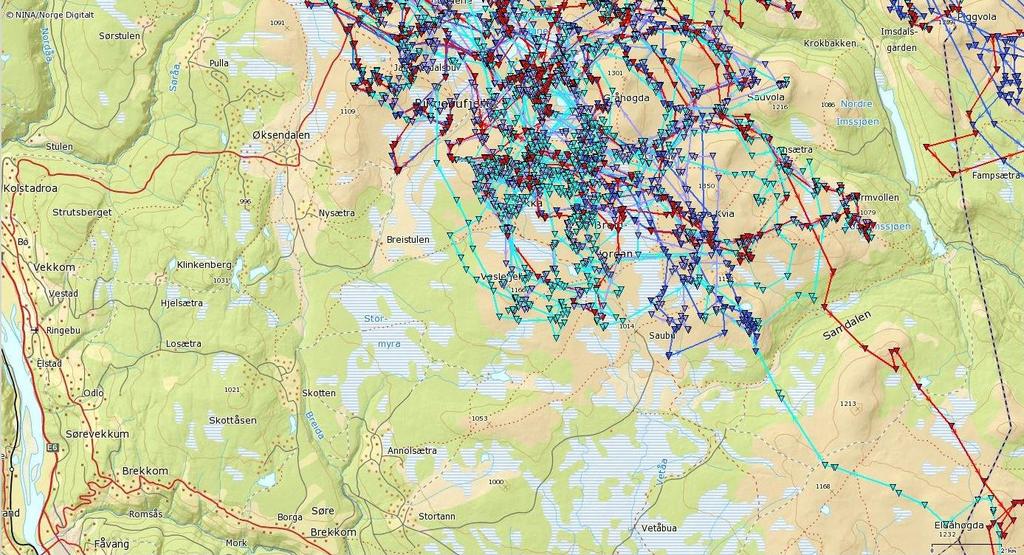 GPS-plott viser at villreinen bruker områdene nord-øst for Måsåplassen, i all hovedsak nord for Friisvegen, om sommeren.