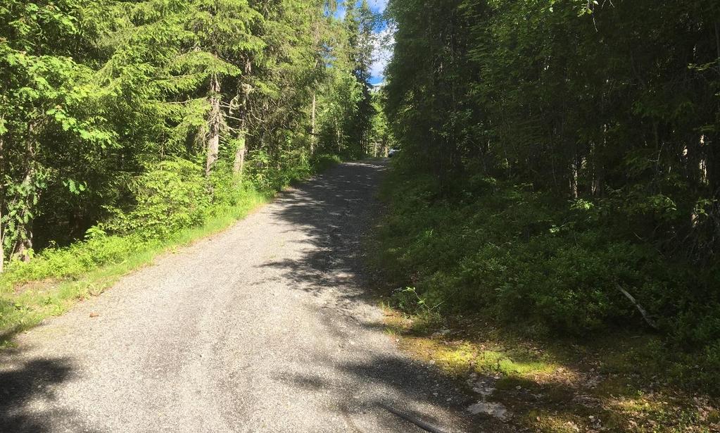 Det er også en markant høydeforskjell fra vegen og opp til boligtomtene B9 og B10, som