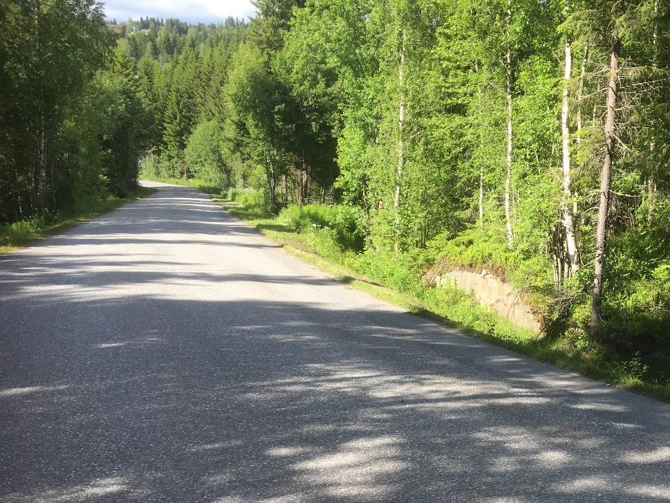 således vannet renne nedover mot nord.