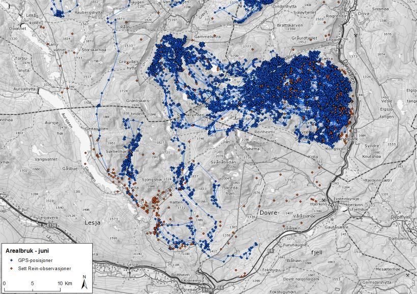 Figur 8. Villreinens arealbruk ut fra GPS-posisjoner og Sett Rein-obs. i juni måned for årene 2009-2016 samlet.