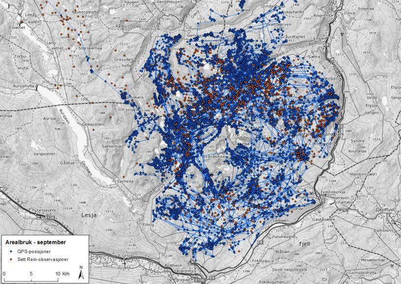 Figur 10. Villreinens arealbruk ut fra GPS-pos. og Sett Rein-obs. i august måned for årene 2009-2016 samlet.