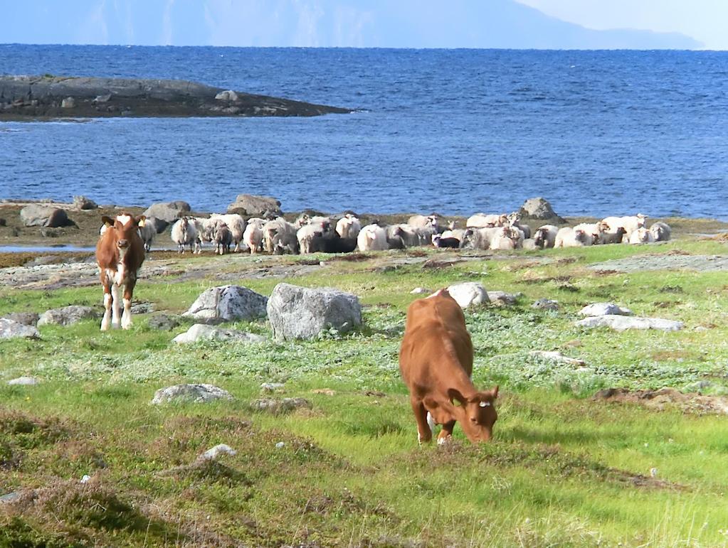 Veldig ulike vilkår