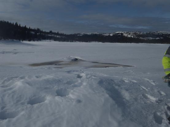 4. Resultater 4.1. Dybdekart Det dypeste registrerte punktet var 6,2 m og ligger i bassenget nærmest demningen (Fig. 4). Middeldypet i Våsjøen er omlag 3 m ved HRV.