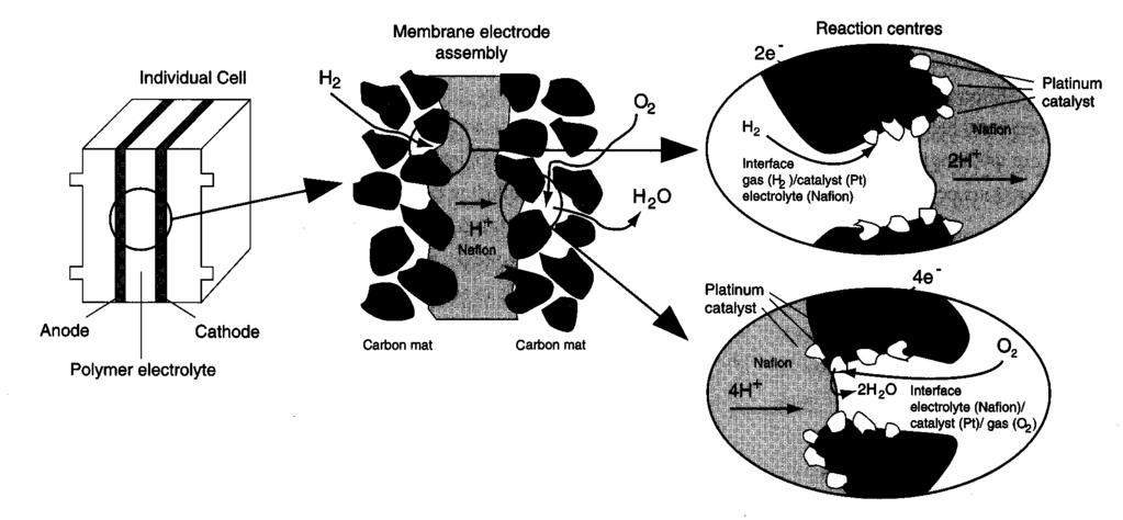 Det er utviklet andre membrantyper for elektrolyse. Mellom elektrodene ligger en polymer elektrolytt membran (PEM), ogi disse er det protoner som passerer membranen.