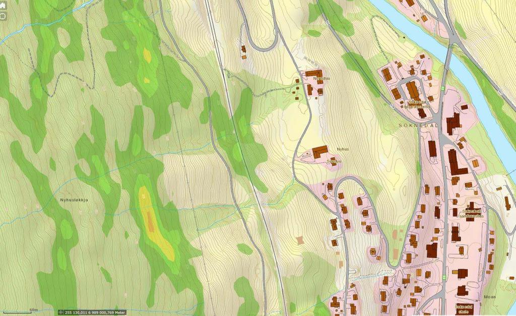 Figur 3: Helningskart over aktuelt område. Planområdet ligger innenfor svart firkant. 4.2 Vegetasjon I skråningen ned mot veg SKV1 er det gammel og ung bjørkeskog.