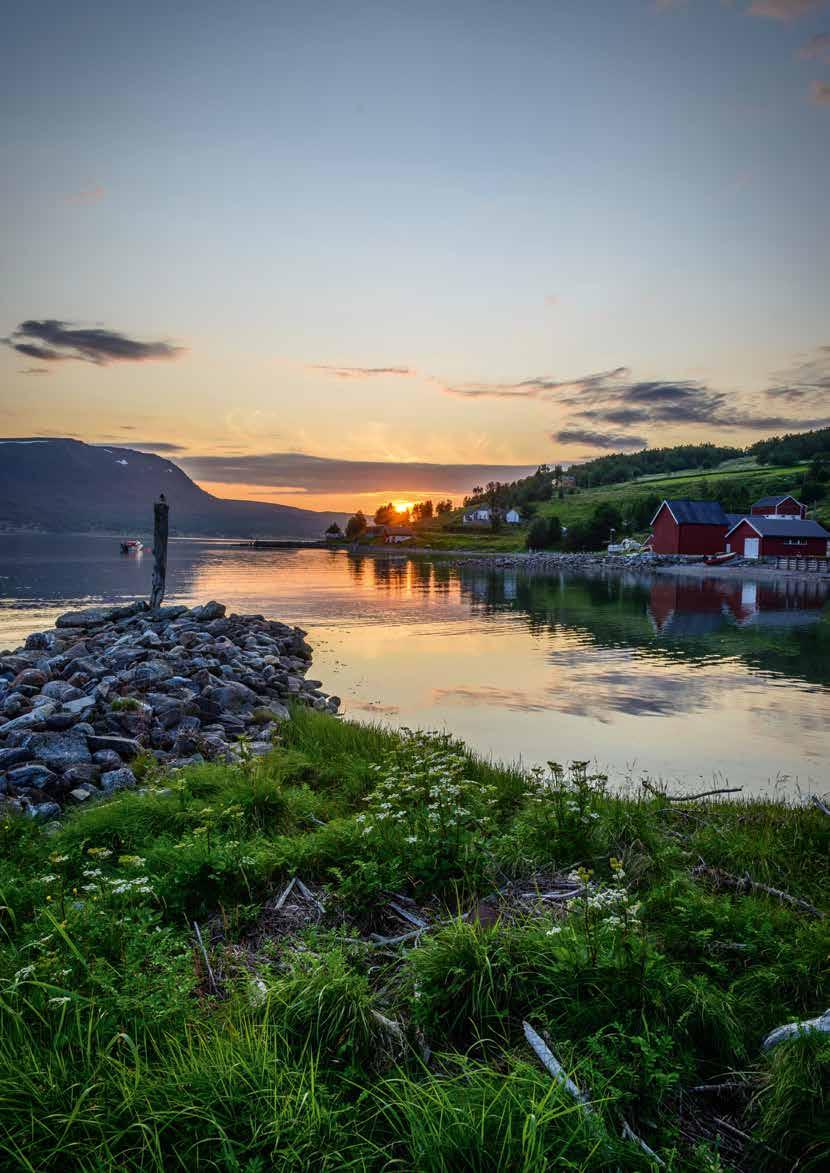 The first stge begis t the outermost prt of the sceic Vågsfjorde o the Adørj Isld, d eds i the historic tow of Nrvik.