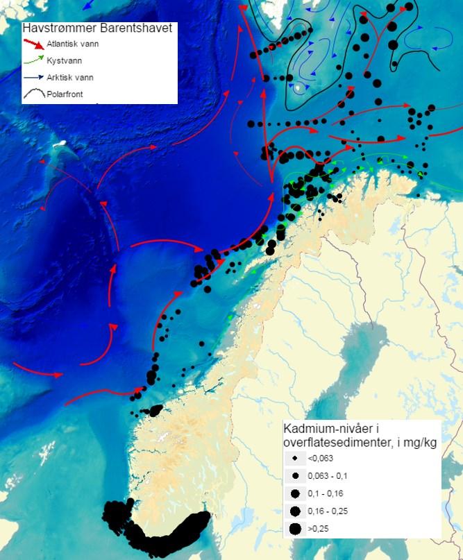 Data fra bunnkartleggingsprogrammet Mareano (figur 5-1) viser at kadmiumnivåene målt i sedimenter på dypt vann langs eggakanten (kontinentalskråningen mot Norskehavet) er høyere nord for en linje