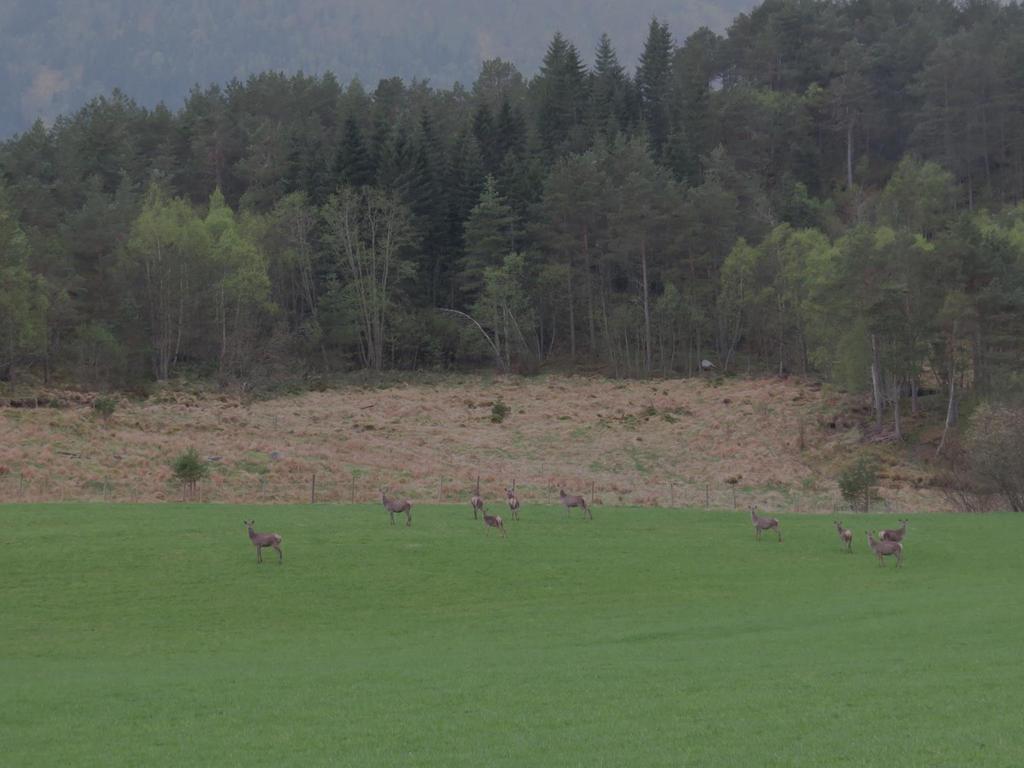 Hvorfor målsetting?