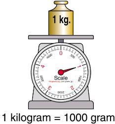 meter (m) واحد اندازه ګیری یک متر 1 m = 10 dm =
