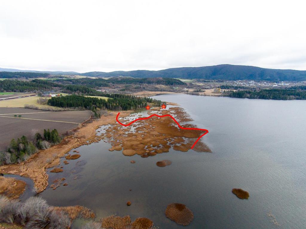 Bortenfor den røde streken er vanskelig å oppdage fuglene fra slutten av juni-begynnelsen av juli og hele høsten. Foto: Terje Kolaas. Figur 1.4. Dronefoto over Hammerbukta sett fra nord 4.11 214.