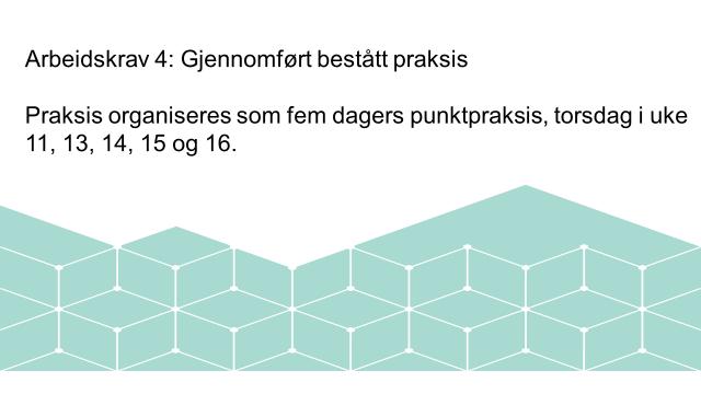 Studenten skal skrive en individuell plan for arbeidet som skal gjøres i punktpraksisen.