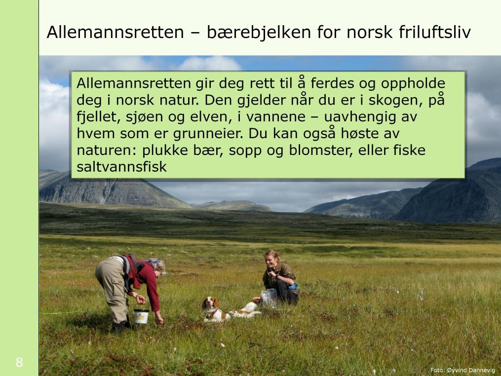 Allemannsretten gir deg rett til å ferdes og oppholde deg i norsk natur. Den gjelder når du er i skogen, på fjellet, sjøen og elven, i vannene uavhengig av hvem som er grunneier.