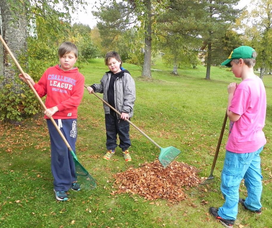 Småplanter til skolehagen Småplanter til utplanting i skolehagen kan kjøpes eller, enda artigere, ales opp selv.