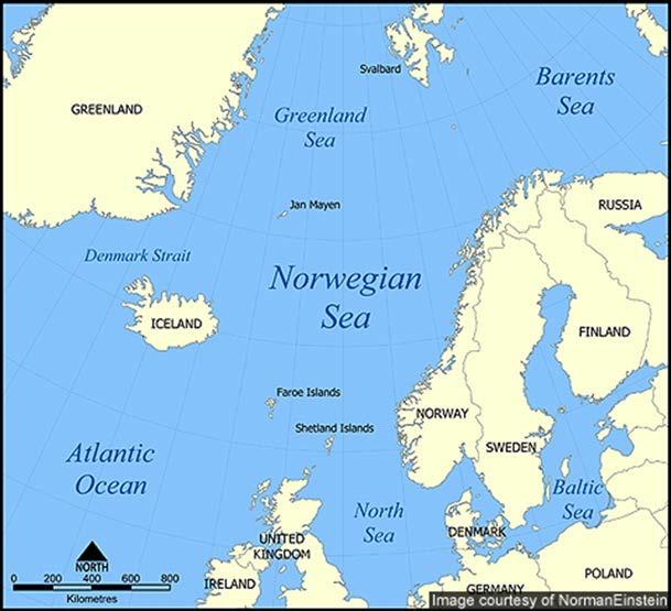 Noen viktige beslutninger for nord-østlantisk/norsk rekefiske for å redusere problemene med bifangst 11.