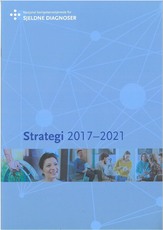 2017 Samlet strategi Ny, samlet strategi utarbeidet