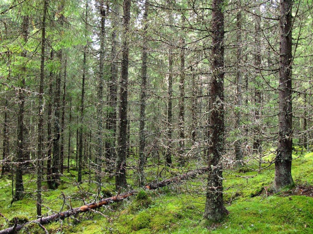 I kjerne 2 står flere