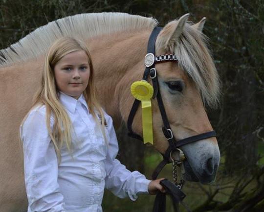 Ikke bare vi «gamle» som stiller hest, yngre generasjoner får også