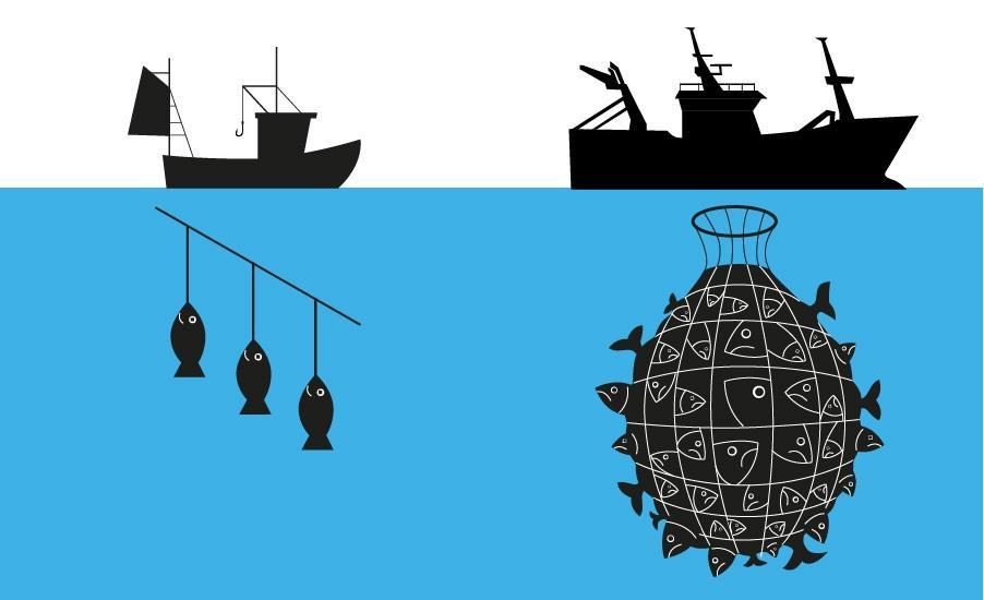 Miljøvennlige valg i fiskedisken - en rapport om hvilke produkter du kan ta for god fisk Innholdsfortegnelse
