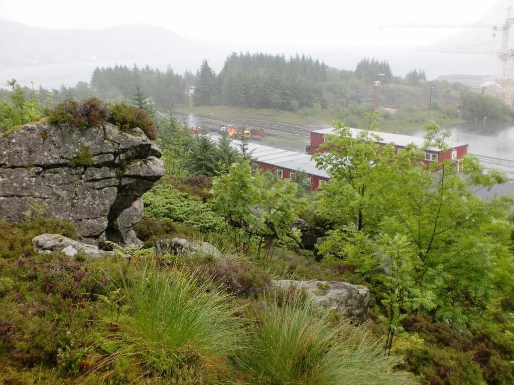 Skredfareevaluering ved Kapellneset, Vågsøy