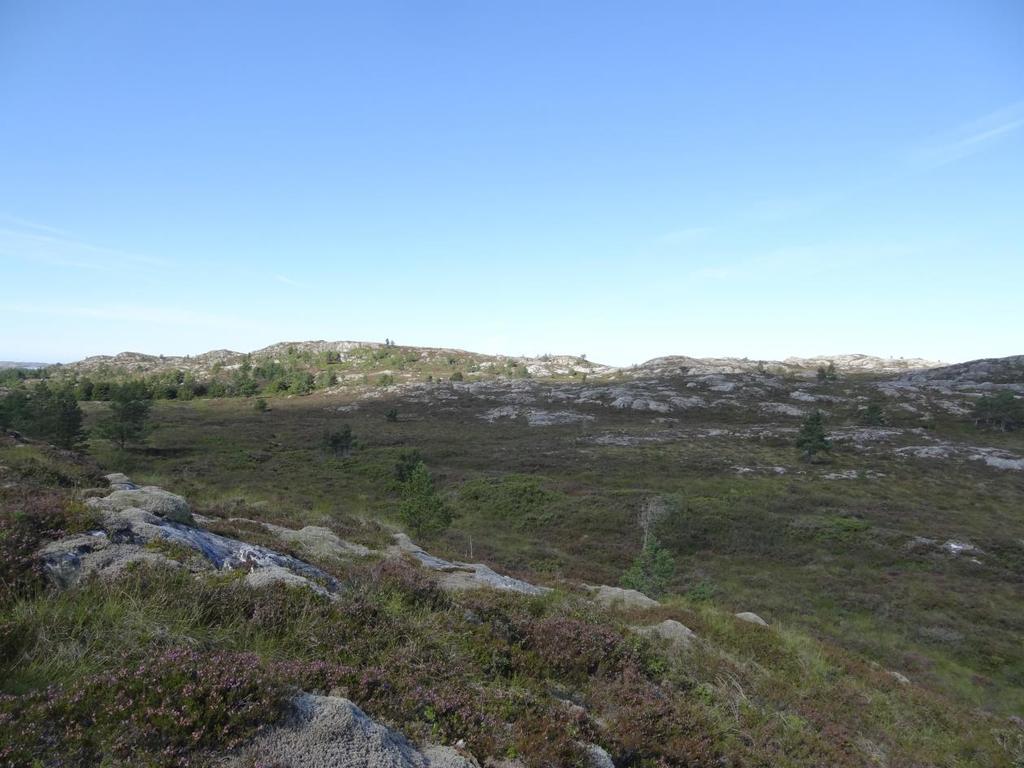 Skjøtselplan for Melandsjø: Mørkdalen, kystlynghei, Hitra kommune, Sør-Trøndelag fylke. FIRMANAVN OG ÅRSTALL: Bioforsk Midt-Norge.