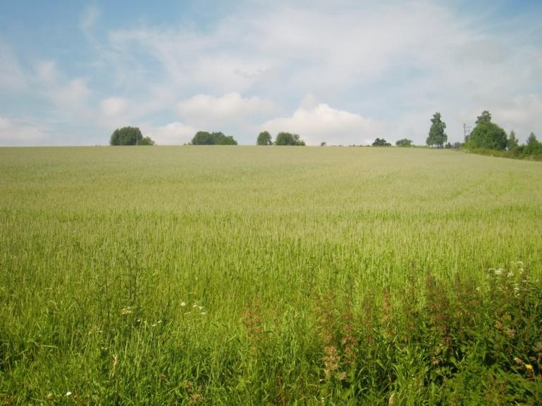 Tapene, særlig for nitrogen, viser klar sammenheng med avrenningsmengdene. Generelt er tapene av suspendert stoff fra Bye-feltet meget lave. I 212/213 var de 7,3 kg/daa.