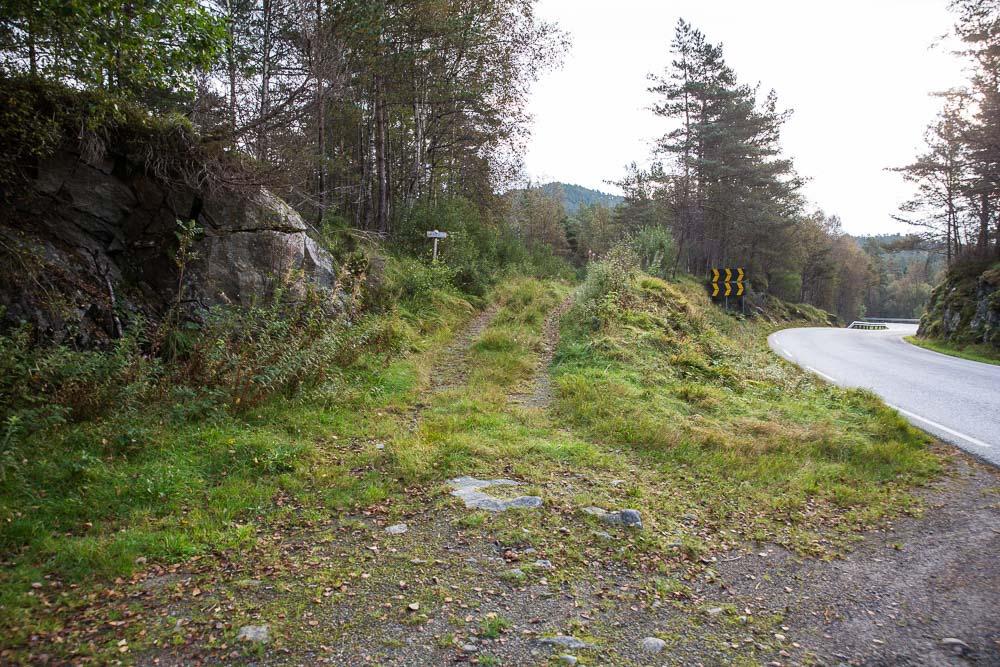 Gravemaskin må beltes inn denne veien for tilkomst til flere av mastepunktene i Iledalen. Veien må ryddes. Det har ikke blitt kjørt på veien på flere år.