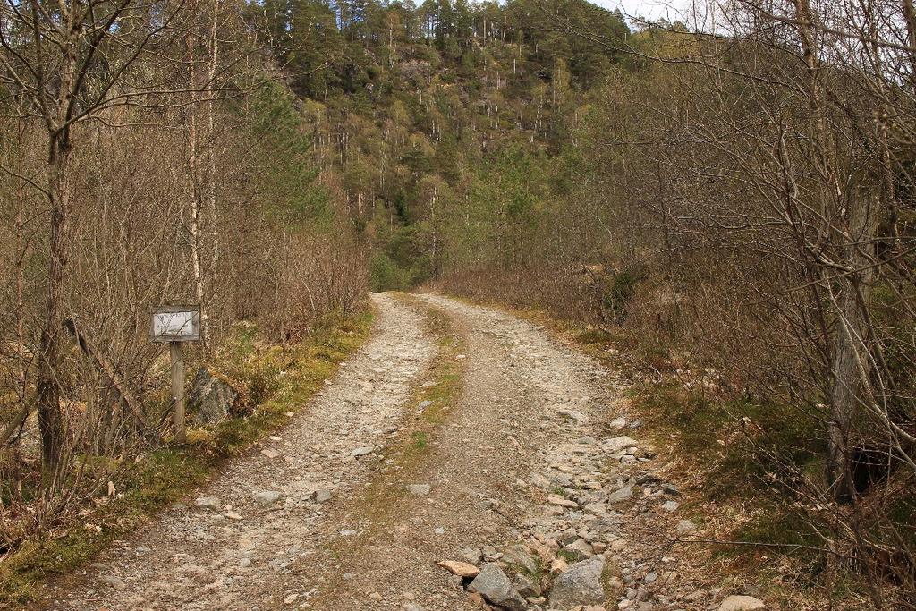 V11 Frøyset skogsbilvei Posisjon utgangspunkt N 6754613 E 294487 Ca. 2,7 km Fra kommunal vei ved Kjerdal neset øst i Sleirsvatnet Skogsvei i relativt bra stand. Ikke egnet for kjøring med personbiler.