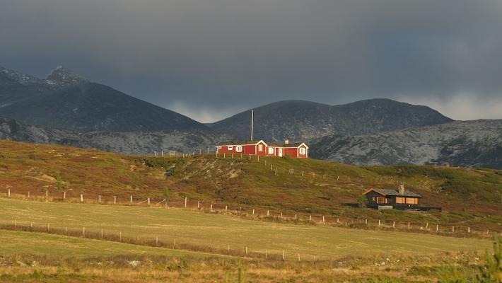 Høvringen i høstsol (Foto: Morten cobsen) Tur rundt Furusjøen