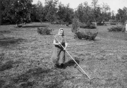 6 Slått og raking