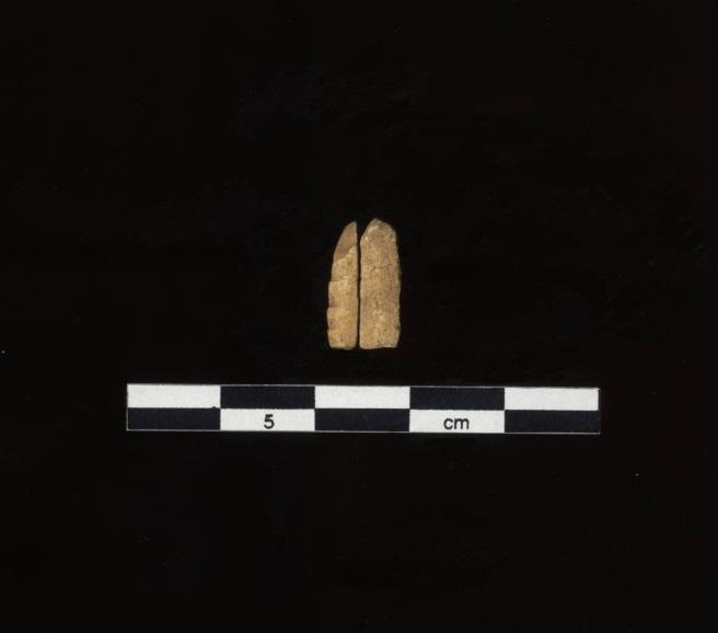 Figur 9: Fragment av mulig fiskekrok av bein sammenføyet med det avspaltede fragmentet, flate 2, Vinterbrokrysset. Cf34433_137. Foto: C.