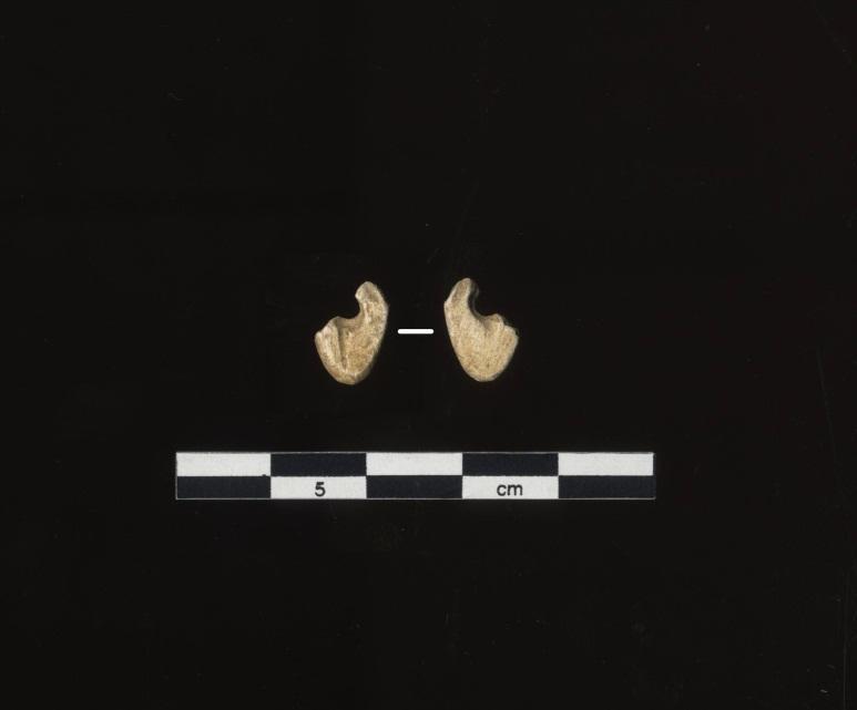 Fragmentet lignet både på en av fiskekrokfragmentene funnet på Skoklefald, men også på det som er tolket som en beinperle funnet på lok.