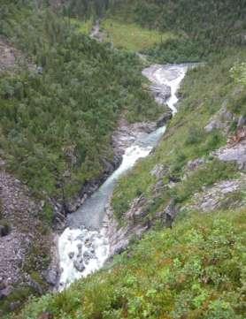 1.Innledning Lomsdalselva har et nedslagsfelt på ca 240 km 2, og munner ut innerst i Storbørja, en sidefjord til Velfjorden i Brønnøy kommune.