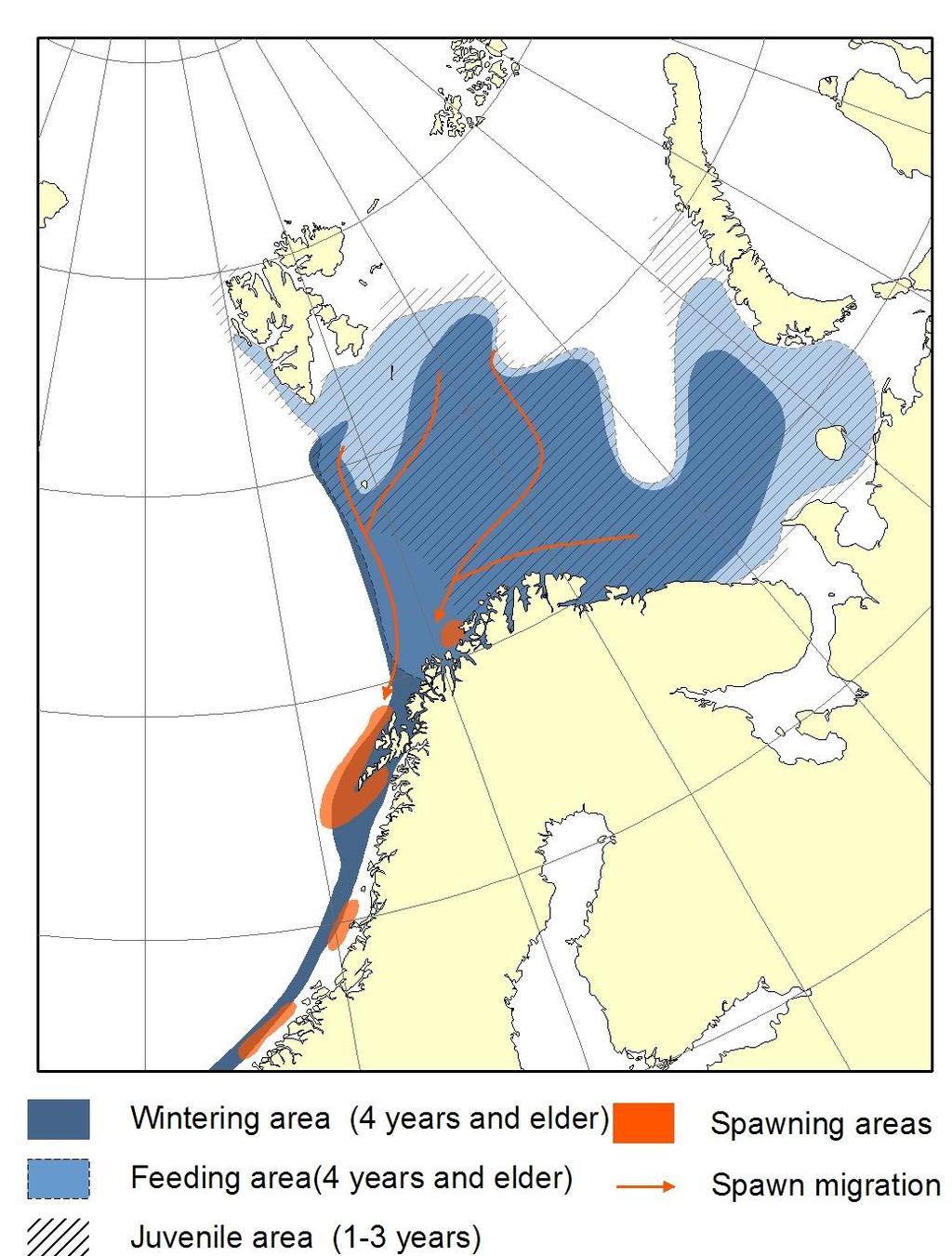 Nordøstarktisk torsk: -Forvaltet av