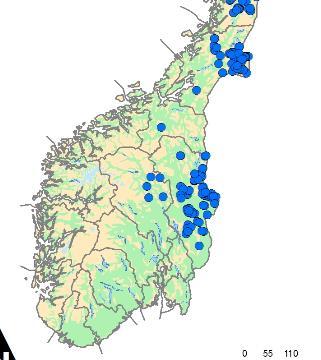 11 Figur.. Viser den betydelige nedgangen av tetthet av hannbjørn fra 2010 (tv) til 2014 (th) I 2014 ble det påvist minimum 136 brunbjørner i Norge ved hjelp av DNAanalyser.