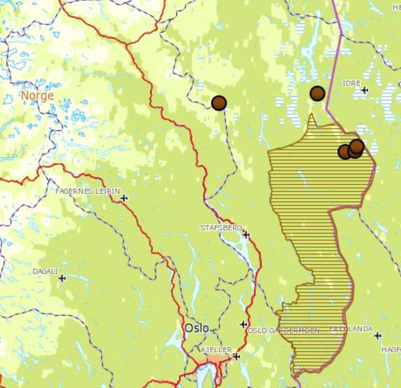 13 Fig 5. Observasjoner av bjørn (ant/dok) i Sør-Trøndelag, Hedmark og Oppland hittil i 2015.