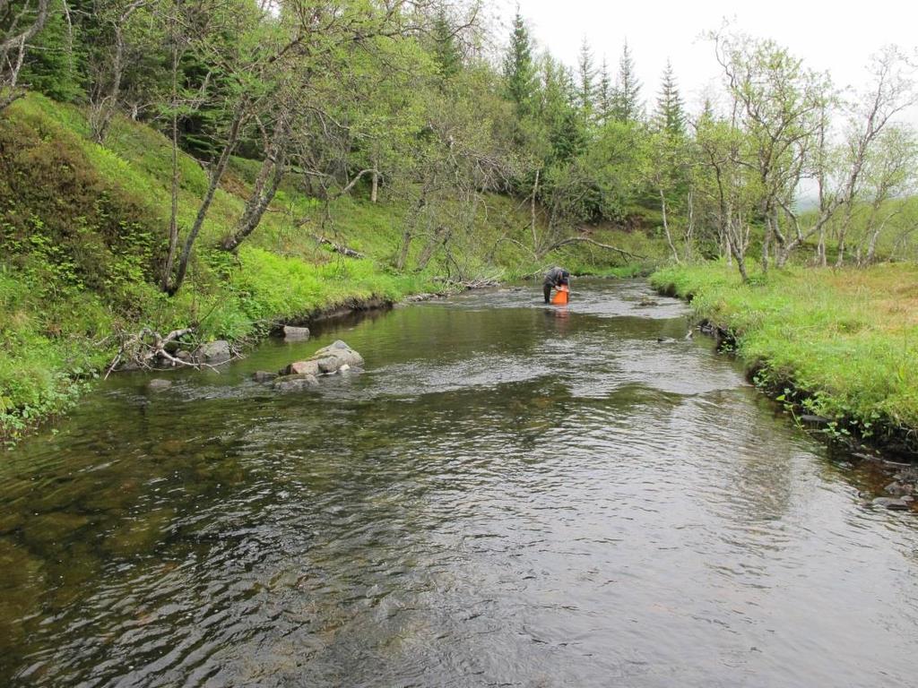 Bødalselva stasjon 22.